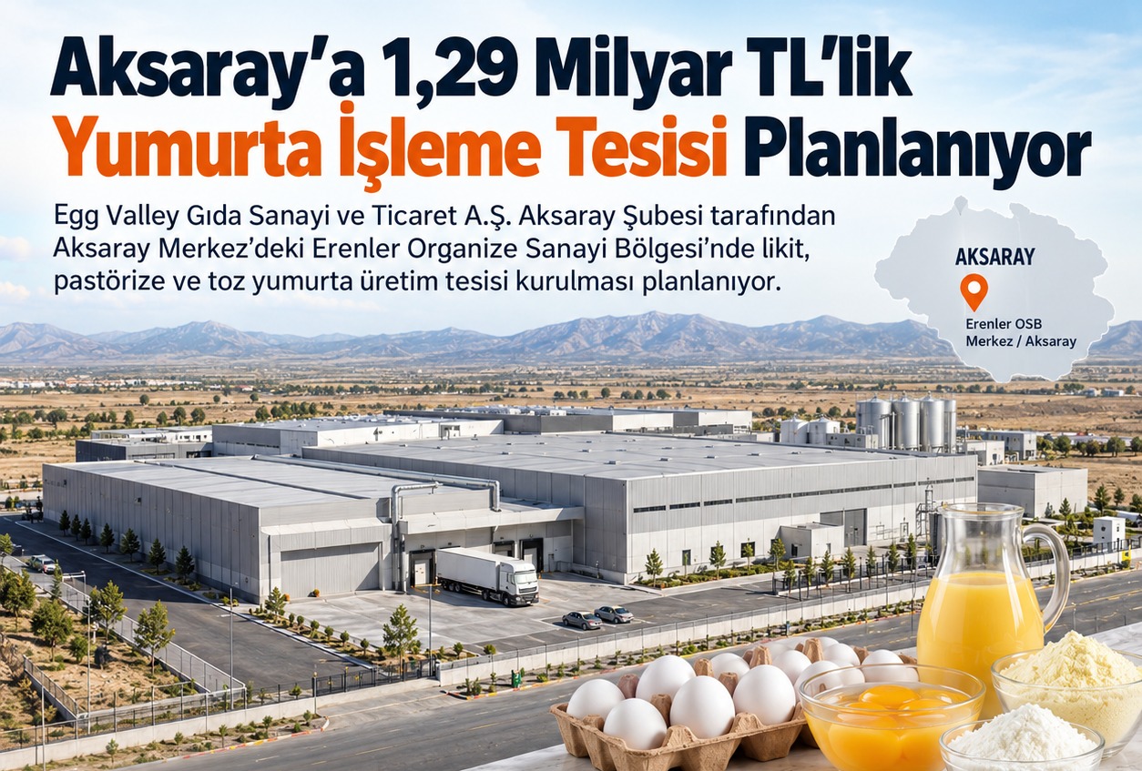 Aksaray'a 1,29 Milyar TL'lik Yumurta İşleme Tesisi Planlanıyor