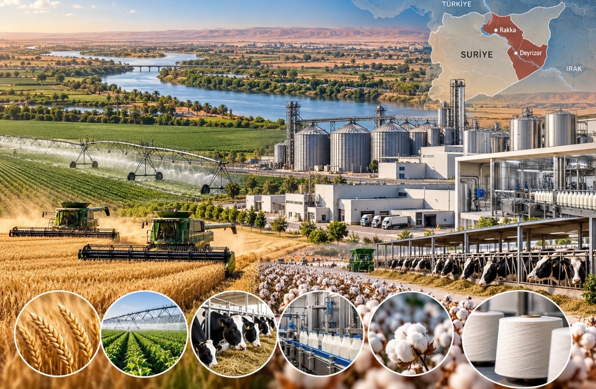 Katarlı Baladna'dan Suriye'de 3,3 Milyar Dolarlık Entegre Tarım ve Gıda Sanayisi Yatırımı